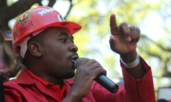 www.263chat.com/Chamisa