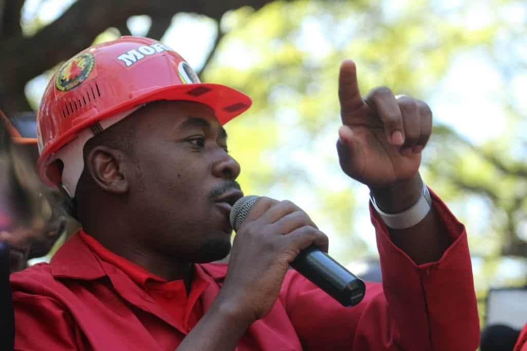 www.263chat.com/Chamisa