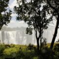 Victoria Falls