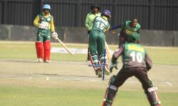 Zim Cricket