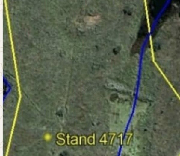 452 Glen Lorne Residents Appeal to Mnangagwa Over Wetland Development